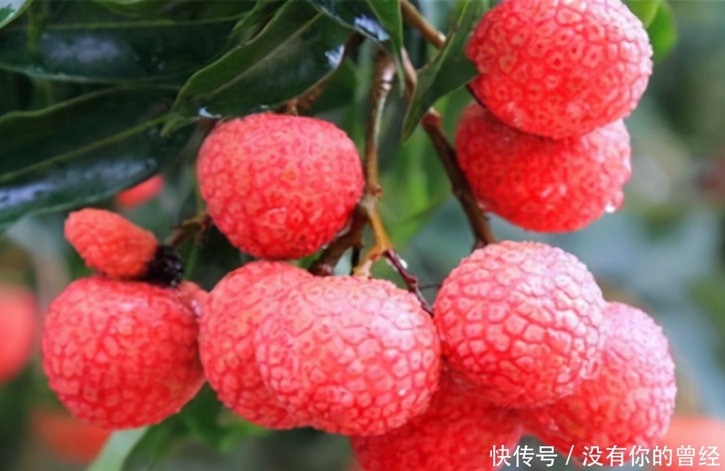 想长寿要先会吃,3种食物不能少,排毒养颜,滋润身体