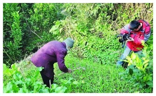 饮食|哈佛大学研究：50岁后想长寿，无关饮食和习惯，主要坚持1件事