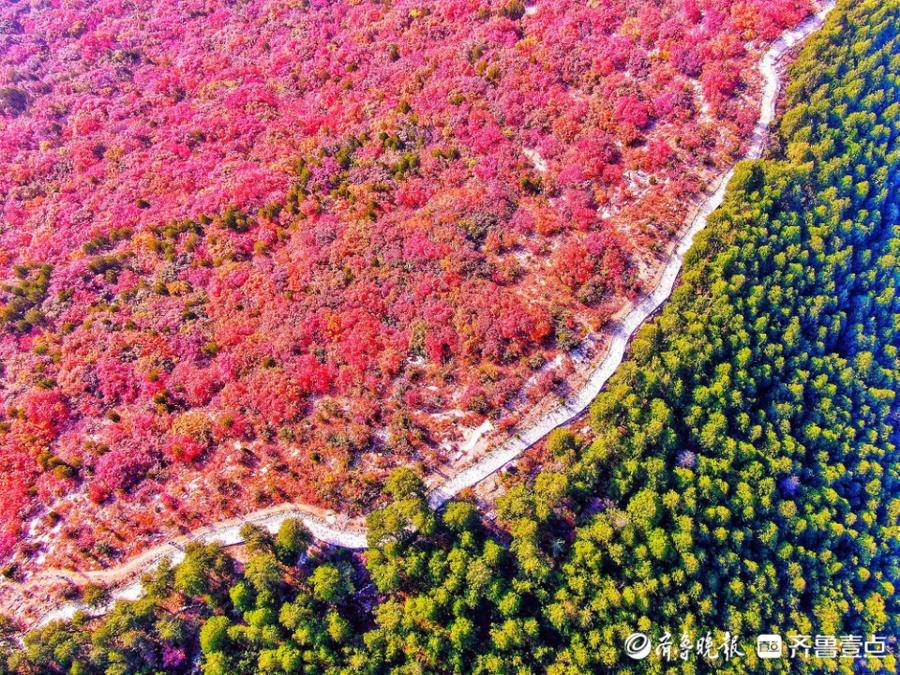 秋日美景正当时！壹粉推荐赏景佳地获奖|11月4日最佳情报| 佳地