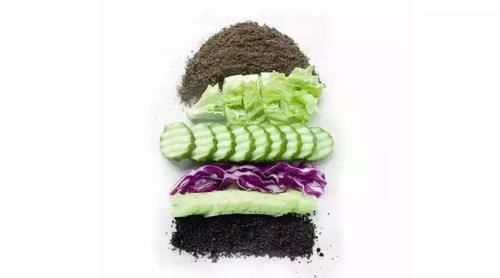 花草养不活,放点香蕉皮,打鸡血一样疯长!