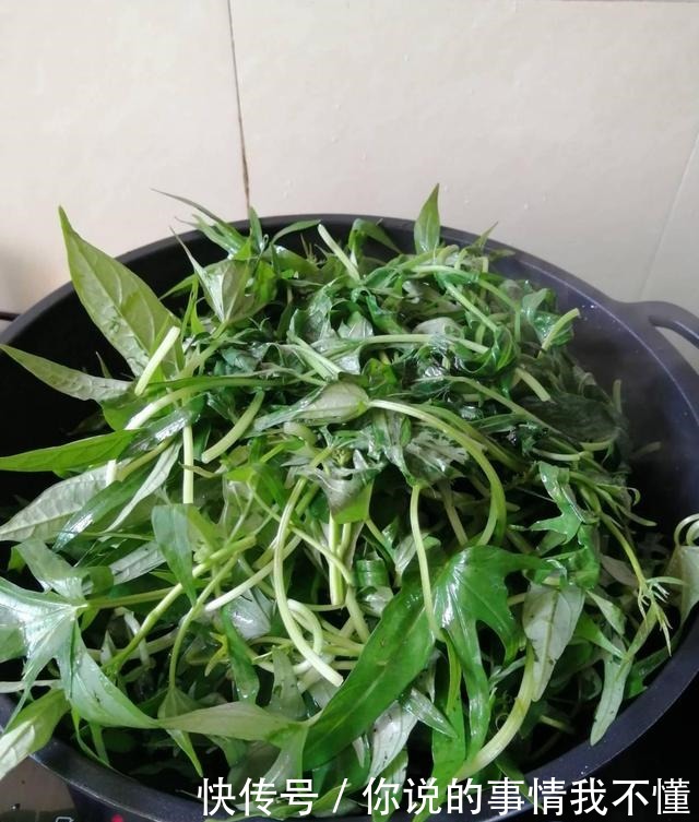 入秋后,吃冬瓜吃南瓜,不如吃它,钙是鸡蛋很多倍,却才1元1斤