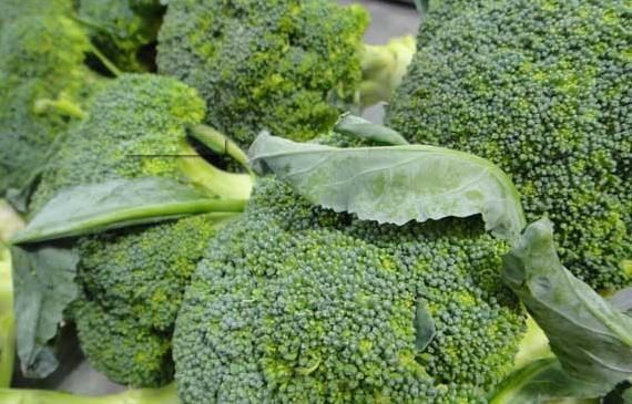 最适合宝宝吃的几种蔬菜，宝妈们看完赶紧回家做给宝宝吃吧