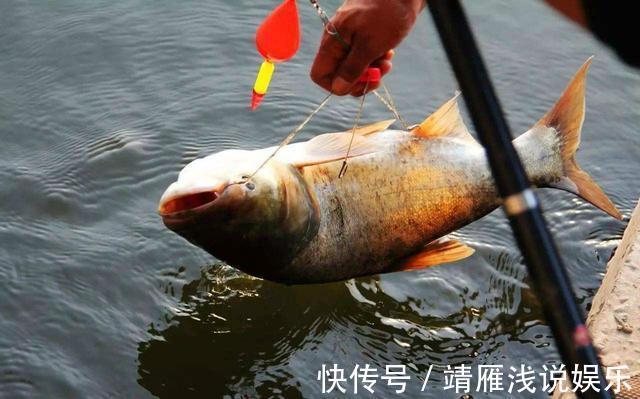 这几个迹象出现时，说明大鱼已经进窝了