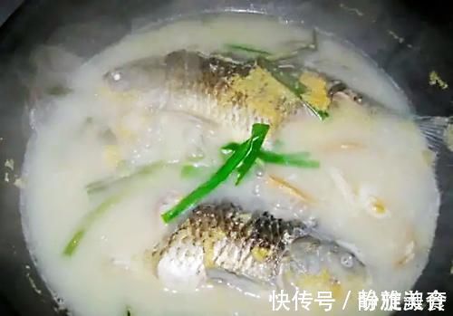 炖鱼汤|不管炖哪种鱼,都不要加这“2种料”否则鱼汤不白不鲜还很腥!