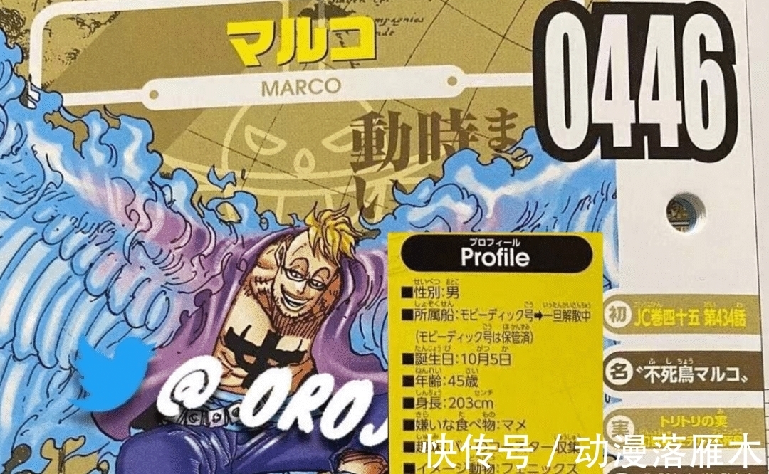 恶魔果实|海贼王:官方公布一波生命卡,罗杰的刀,马尔科的赏金都出来了