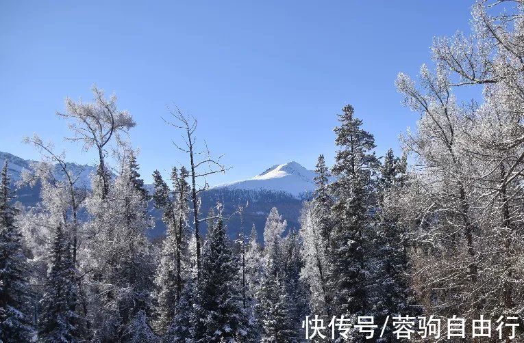 冬季|新疆继独库公路“冬眠”后，又两大景区开启冬季模式