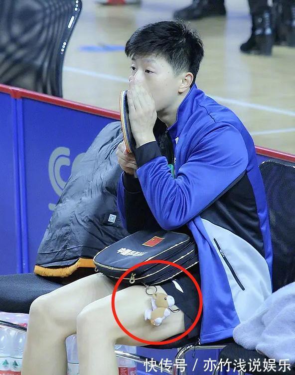 许昕|亮了亮了:马龙的鹰,许昕的手,樊振东的壕,全红婵的拖鞋