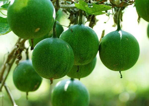 皱纹|想长寿先排毒,不妨多吃3种食物,美容养颜、淡化皱纹!