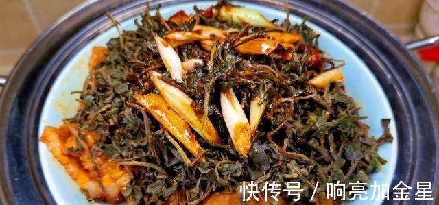 酵母粉|秋季遇到这菜，我从不手软，囤上30斤，冬天炖肉蒸包子吃，特别香！