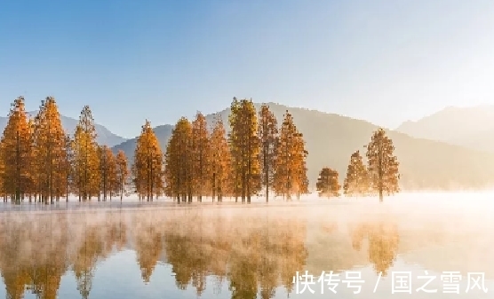 儒家学说!刘禹锡送别高僧,谱写了一首佳作,见解深刻,读了三遍才能体悟