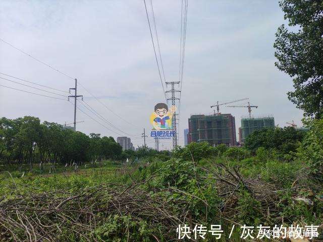 方兴大道|高新区1.5万新房是真是假实探方兴大道西板块乐富强悦湖熙岸!