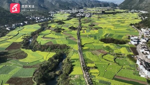 万峰林|听说好多地方都在下雪？贵州这里的春天早就来了