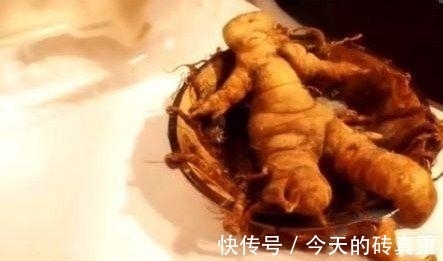 人参|意外挖到人参留念,第二天回看照片,吓出一身冷汗