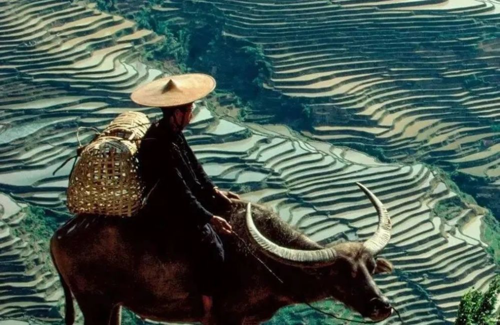 老祖宗常说“冷棺莫入村,热孝莫入门”,究竟啥意思