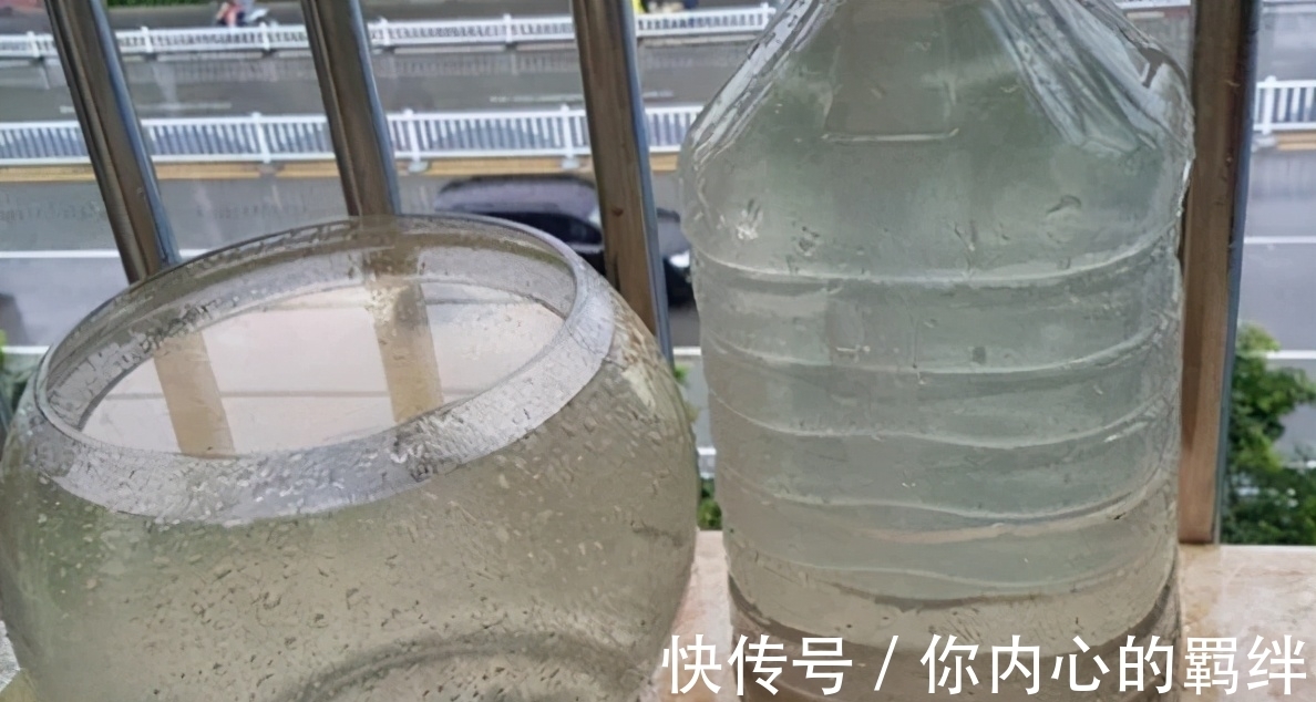 作为新手,学会草木灰、蚯蚓粪的用法,就不用怕养花施肥出问题