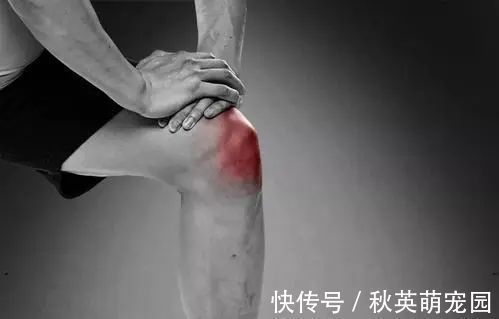 艾灸|睡觉要不要开窗户?90%的人都做错了!听知名老中医的建议和方法