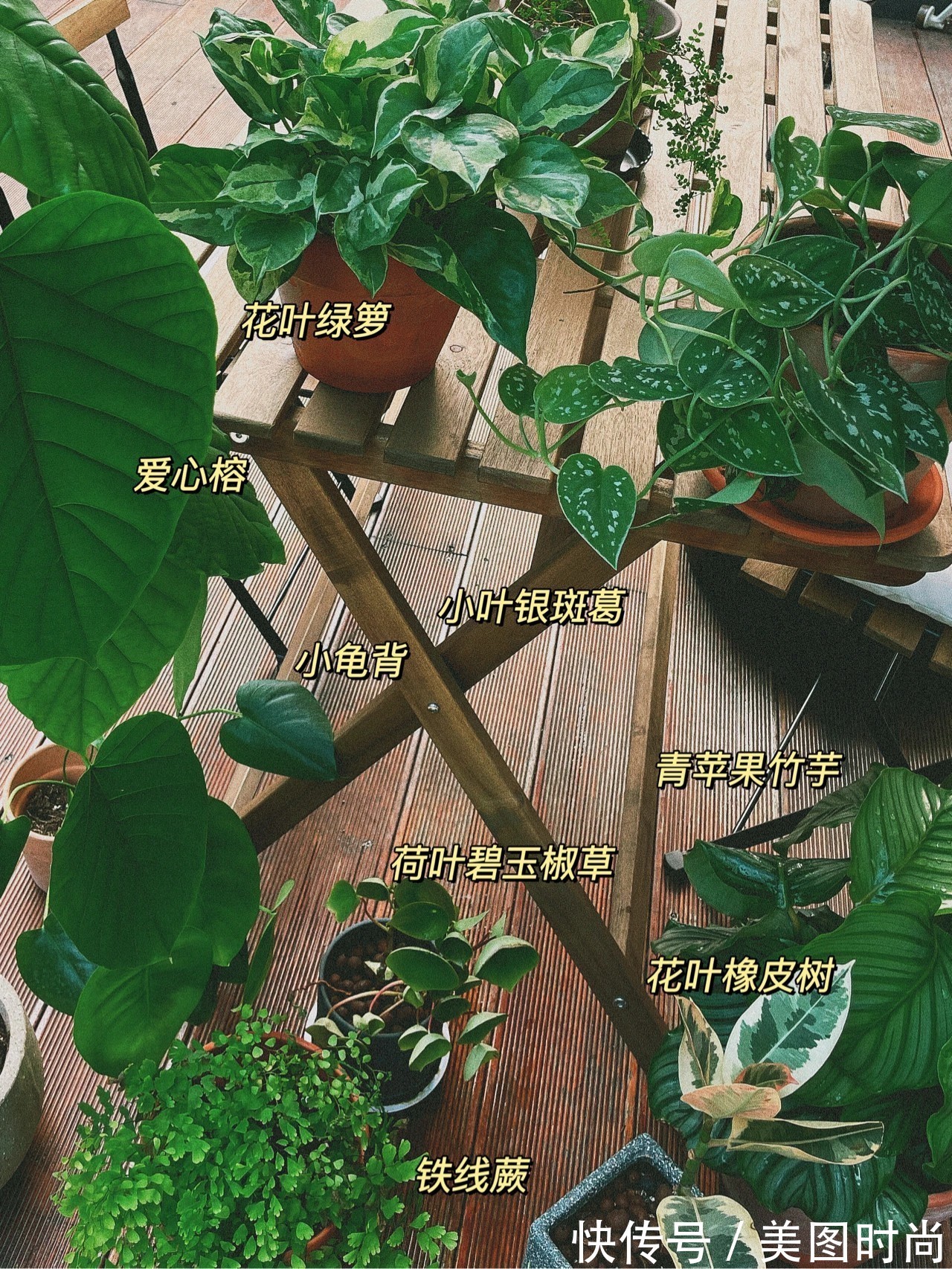 花园|花了两万块，用了7天时间改造40㎡一楼花园，分享花园改造过程