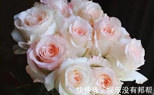 你粉|比较受欢迎的10款进口玫瑰花,一直都供不应求,你粉了吗?