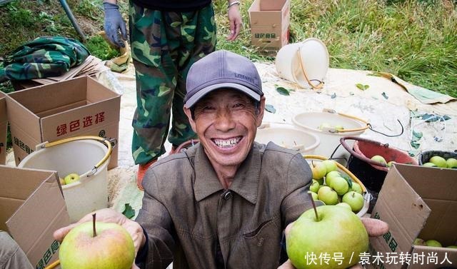  素有|这种梨外形酷似苹果，口感独特，素有“北方梨中之秀”的美称