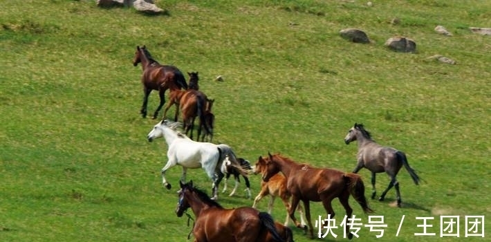 韩滉&3首冷门却精彩的唐诗,出自冷门诗人之手,多年后熠熠生光