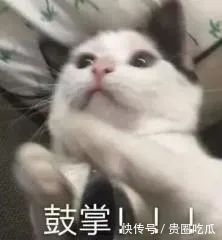 鼻祖|说真的,杨幂才是凡尔赛文学的鼻祖吧!