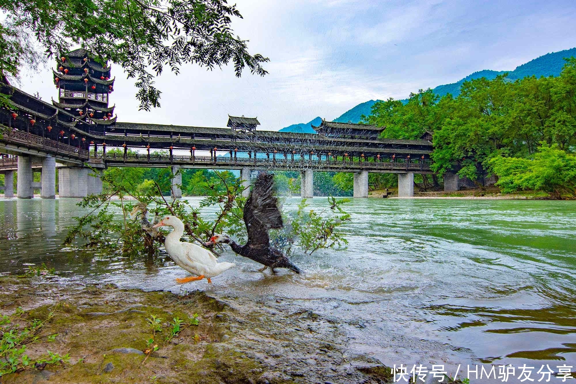 山水|藏在深山的世界最长风雨桥：不是山水画，却是山水