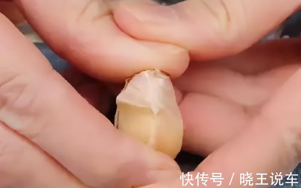 大蒜|才知道，剥大蒜米不刀拍不手抠，只要一个瓶盖，1分钟剥一大碗