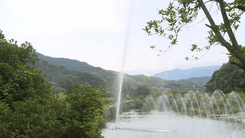 喷泉 地质奇观、风筝跑道、呐喊泉、水果基地…都在嵊州这个村！
