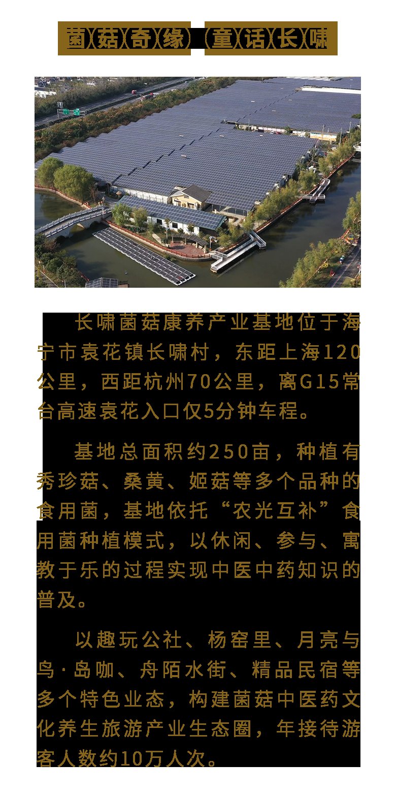 示范基地|嘉兴一地入选！2021年浙江省中医药文化养生旅游示范基地名单公布