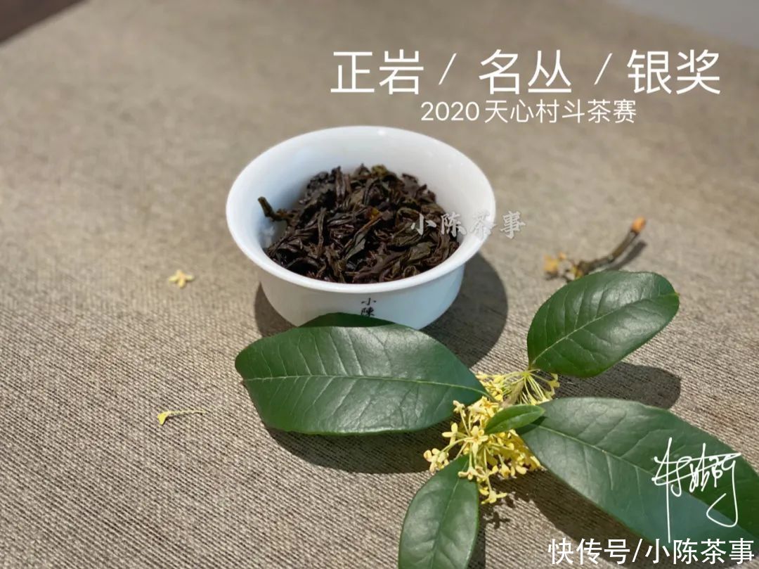  岩茶|一口气喝到正岩茶村的名丛金、银、优质获奖茶，是什么样的体验？