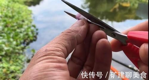 洋葱,饵料界的新宠,用此物开饵,冬天钓鱼不愁鱼不进窝