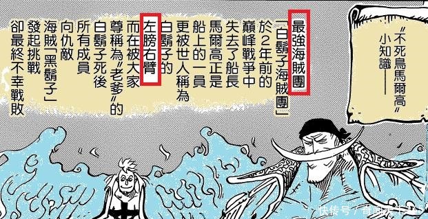 尾田又公布一个最强称号，马尔科成最强皇副，钻石乔兹可能死了