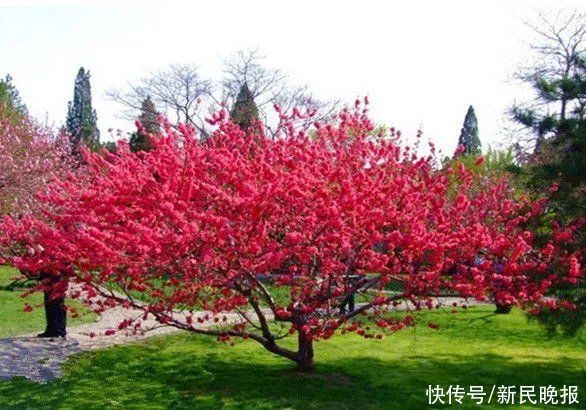 流行病学|8月9日·上海要闻及抗击肺炎快报