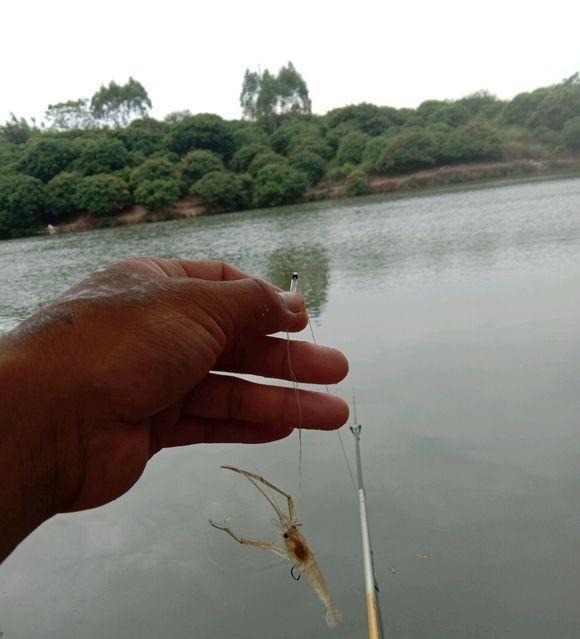 漂相很稳就是打不中鱼?解决起来挺简单,但要排除一个问题