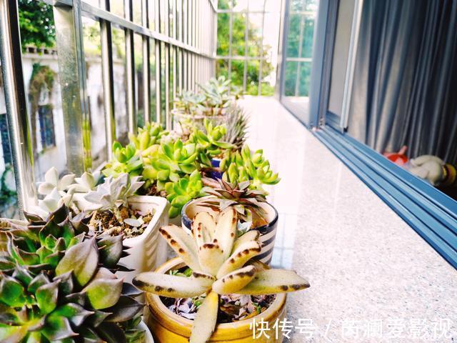 小户型|她买下42㎡单身公寓,一家三口住,客厅不放沙发,阳台当榻榻米