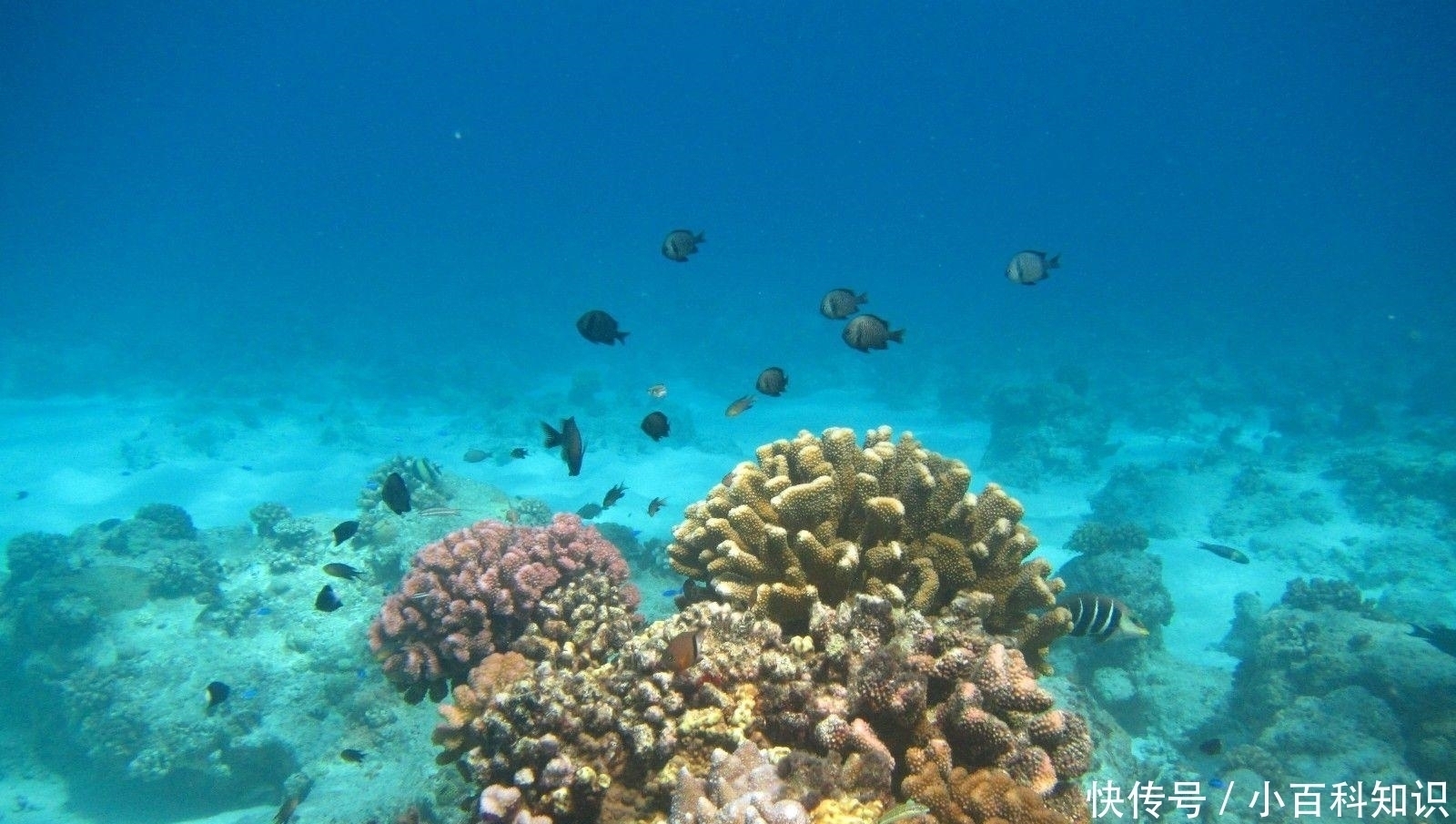 大中国海岛|旅行清单：这10大中国海岛，去过3个只能算及格，你去过几个？