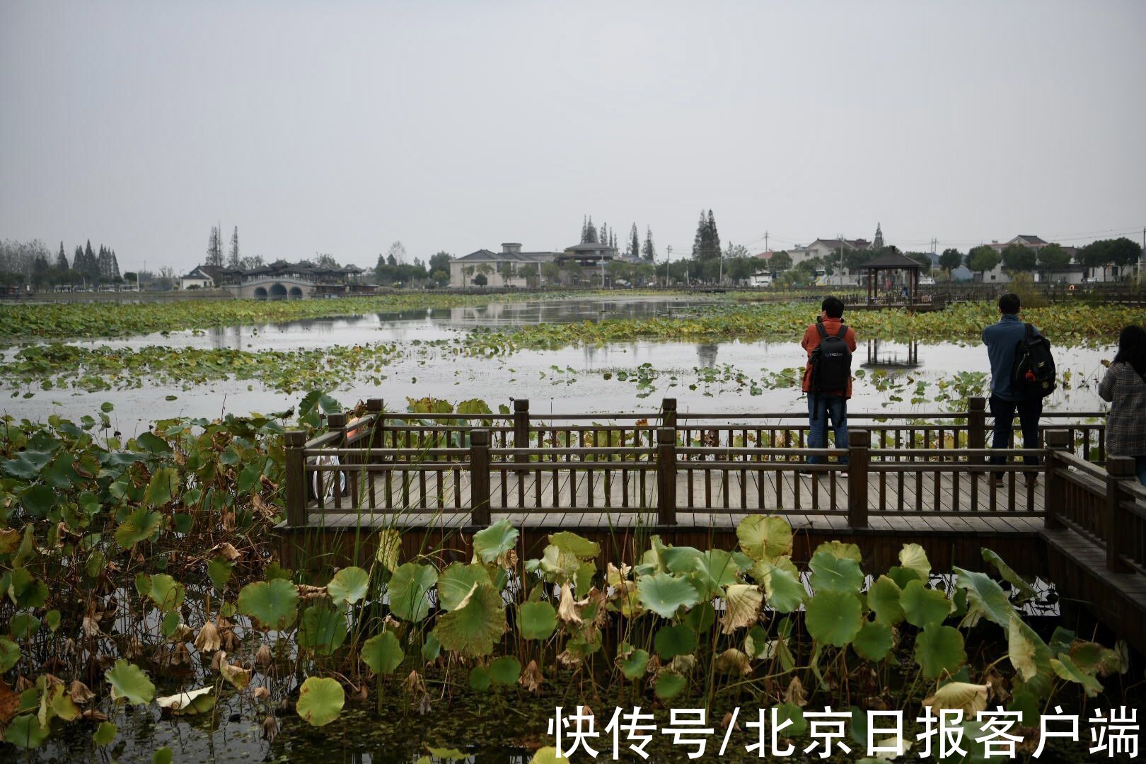 大运河最古老一段，处处品味古城之美|多图 | 瘦西湖