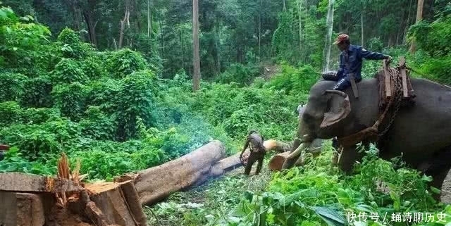 反而|为什么古代中国统治者不会向南扩张,反而和北方的游牧民族纠缠?想不到