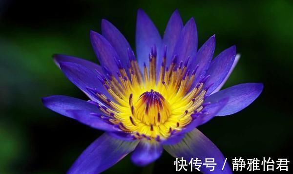 记忆力|“人不成器，必有征兆”，人到40岁还喜欢做4件事，难有大出息