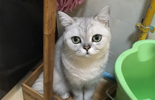 |幽默笑话:刚躺床上打算睡觉,老婆呼的下就坐了起来,吓我一跳