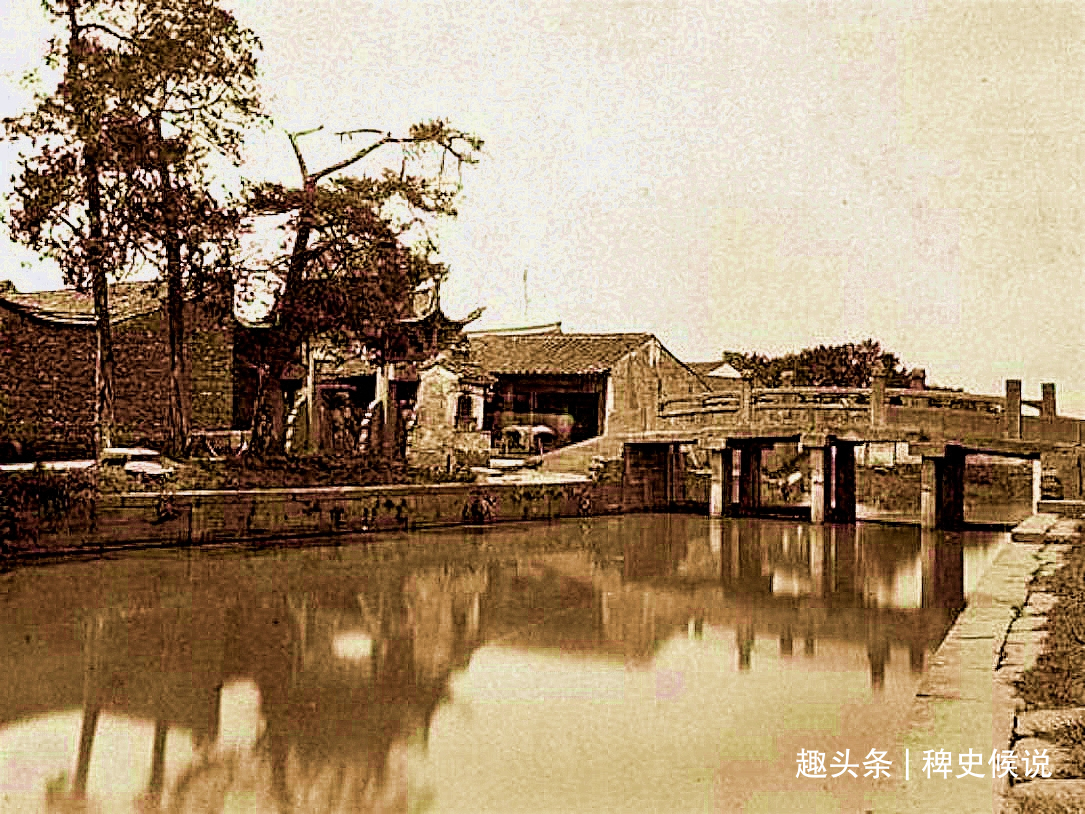 马寡妇#清代奇案寡妇貌美,寺中被人害死,鹦鹉报案伸冤,三个和尚斩首