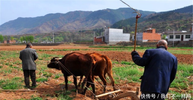 俗语说一代做官九代绝,下半句少有人知,古人的讲究还适用吗!