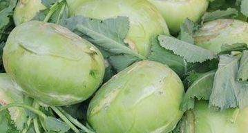 对身体十分有益的食物,每天吃些,补充营养,排毒润肠!