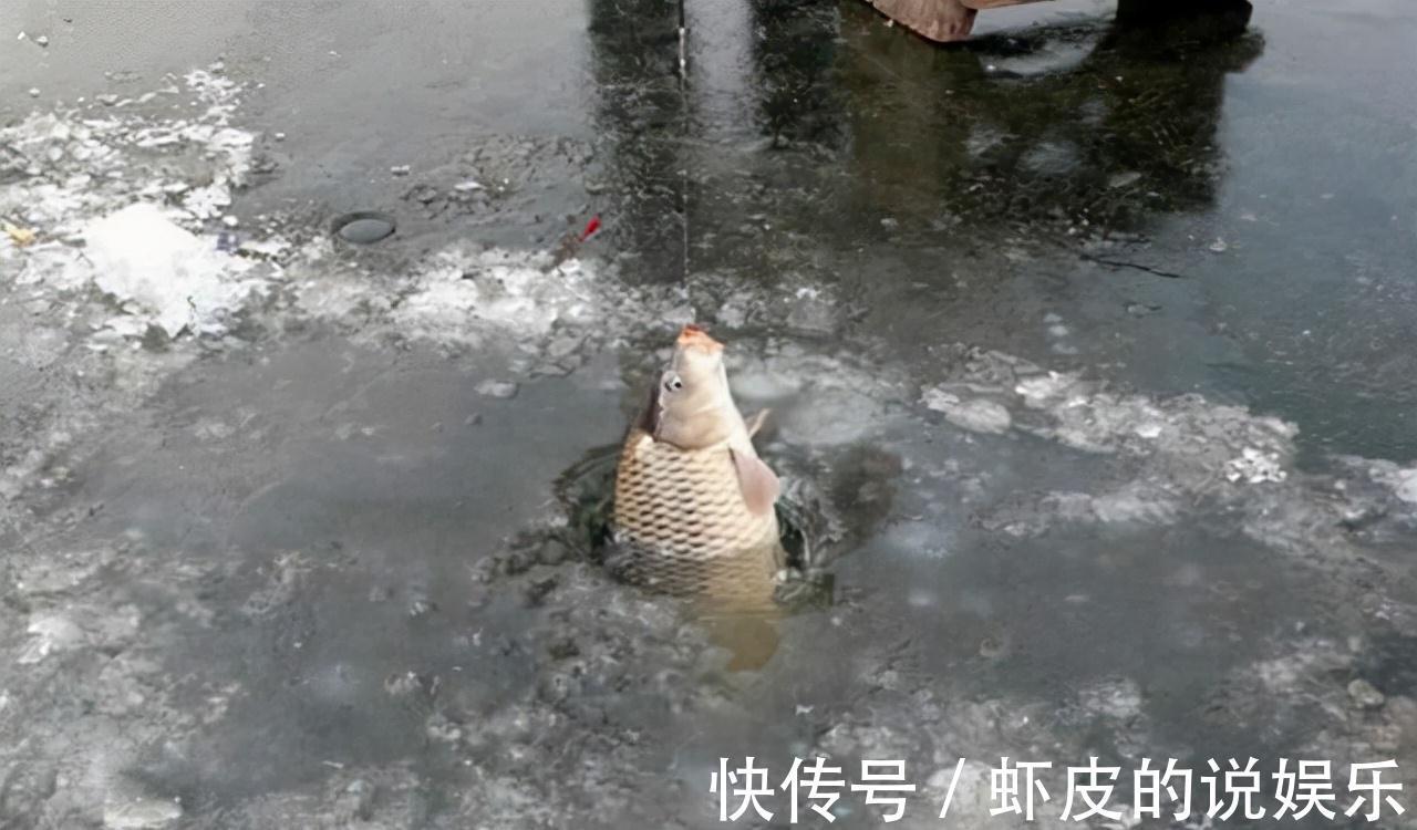 饵料|大雪过后野钓不喜欢用虫饵,不妨试试这两款拉饵,效果不比虫饵差