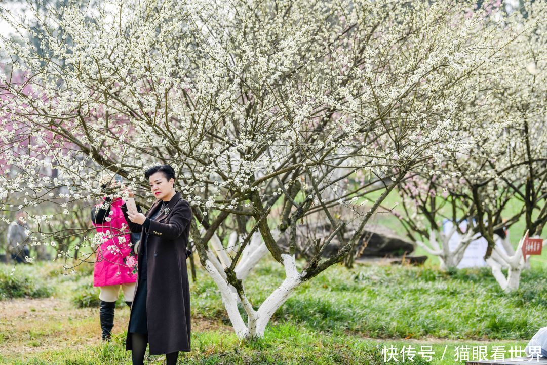 大年初一 成都秀丽东方依然花开成海，美如仙境！游人如织！