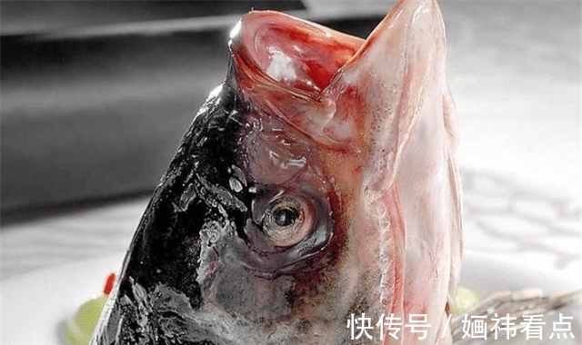鱼胆|鱼身上最脏的部位,有大量寄生虫,还有很多人拿来当美食!