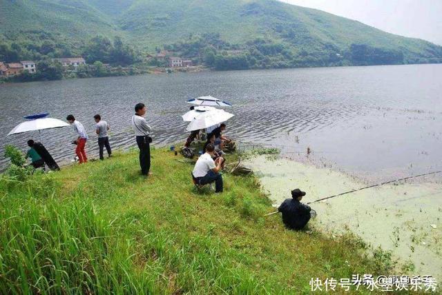别再抢老钓位了,“秋老虎”鱼儿都藏在这,选这垂钓事半功倍