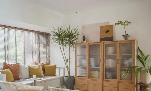 百叶窗|越来越多人家里不装窗帘了,现在流行这样装,美观实用又隐私