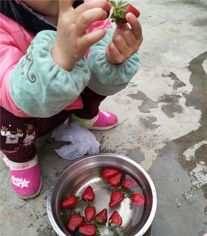孩子|5岁孙女阻止奶奶买草莓,得知原因后,老人回家后怒斥儿子