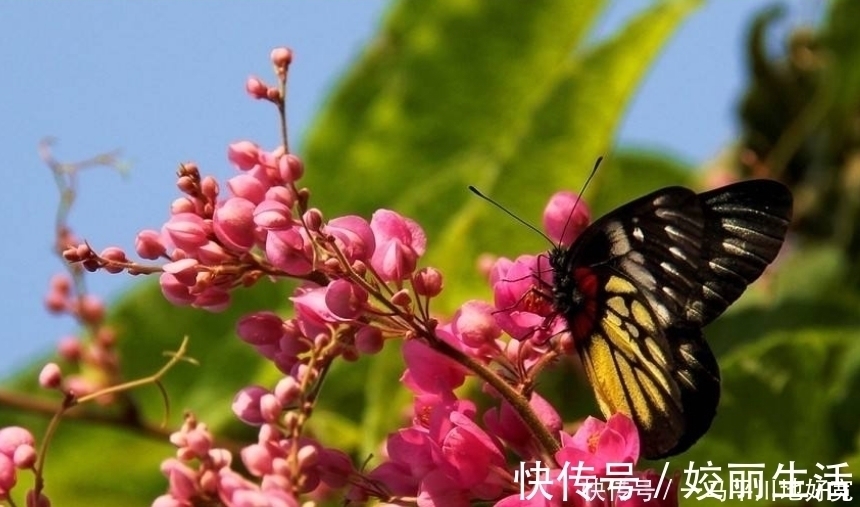 女人|这几个出生日尾数的女人，一辈子桃花运旺盛，到老都有人惦记！